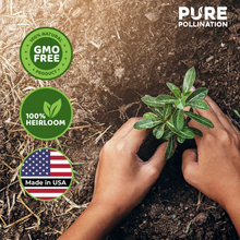 Load image into Gallery viewer, Pure Pollination- 16,500 Heirloom Vegetable Seeds