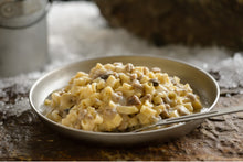 Load image into Gallery viewer, Mountain House- Beef Stroganoff