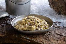 Load image into Gallery viewer, Mountain House- Beef Stroganoff