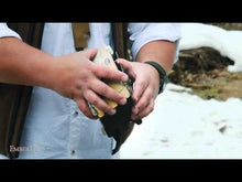 Load and play video in Gallery viewer, Fireant- Titanium Ultralight Backpacking Stove